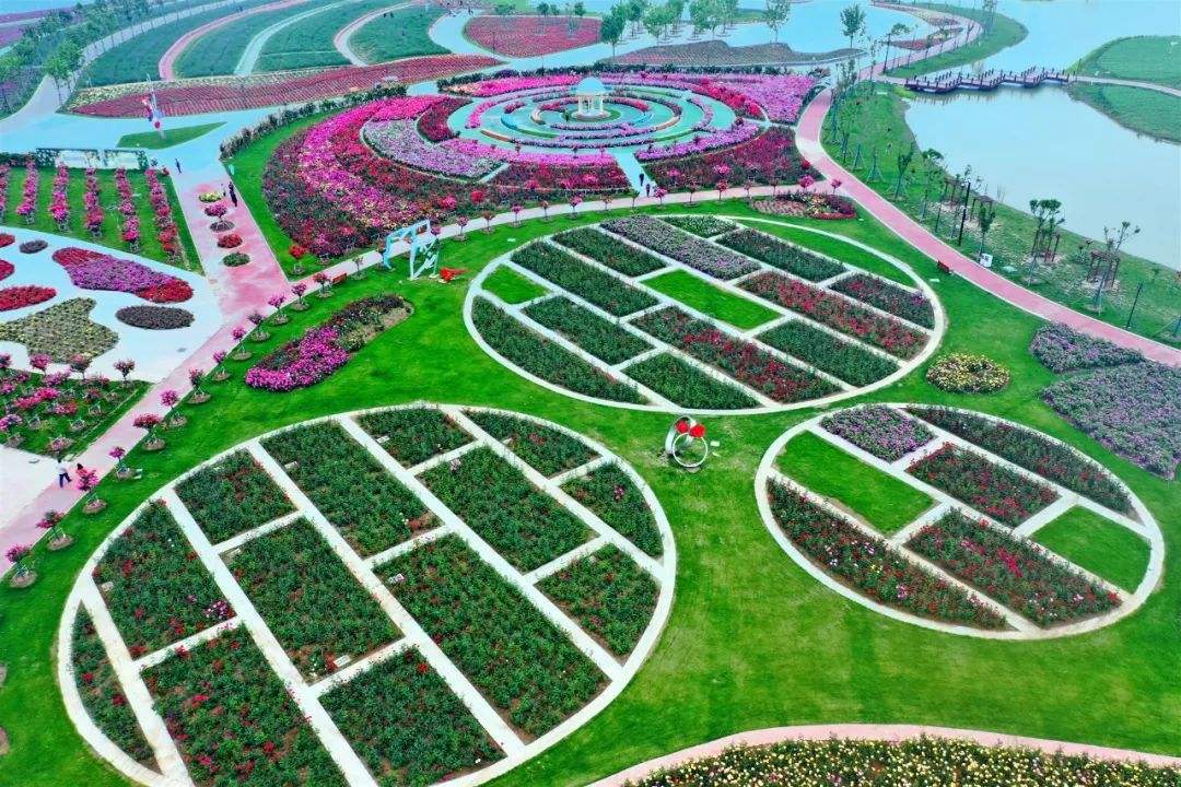 timg (21).jpg timg (21).jpg